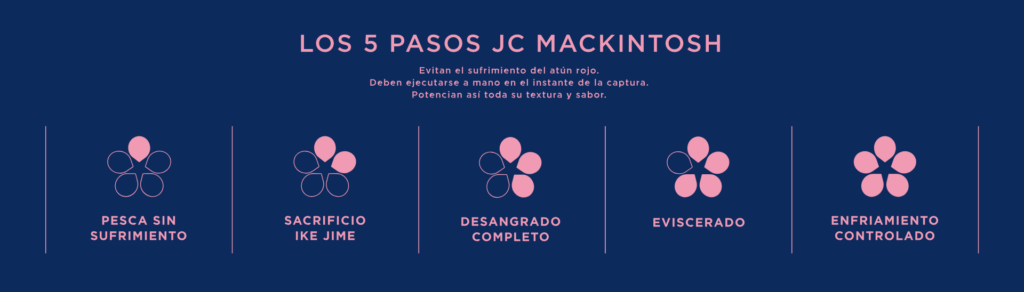 5 pasos JC Mackintosh